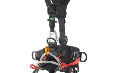 CAMP TREE ACCESS ANSI XT