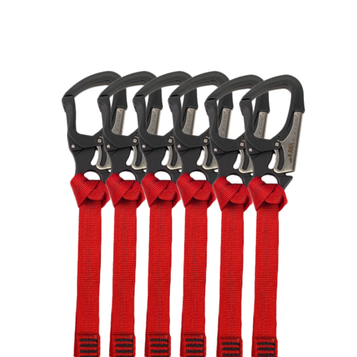 RNA SQUATCH DRAW ASSORTED 12 PACK - Image 4