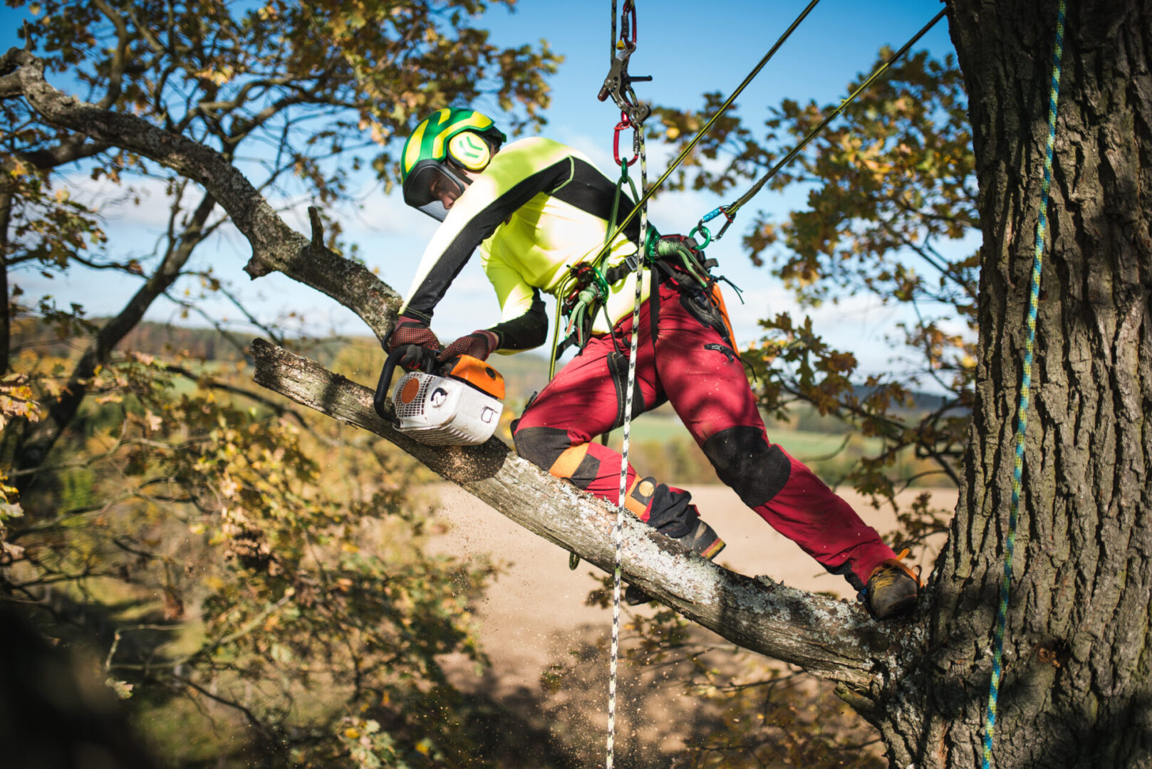 Arborist Safe Work Practices | Protect Your Arborists on the Job