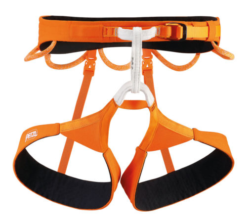 Petzl hirundos harness