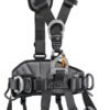 Petzl Avao International