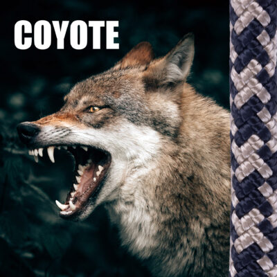 Rna 11mm coyote - clearance sale
