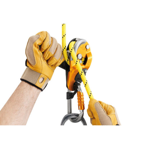 Petzl rig