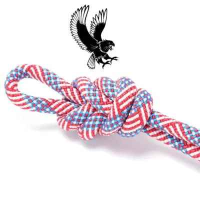 Rna 11mm screaming eagle