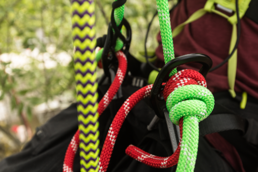 Edelrid treerex