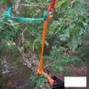 Notch BackBone Mini - Rock-N-Arbor