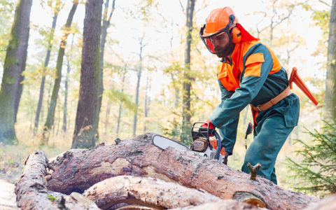 Arborist Protective Clothing