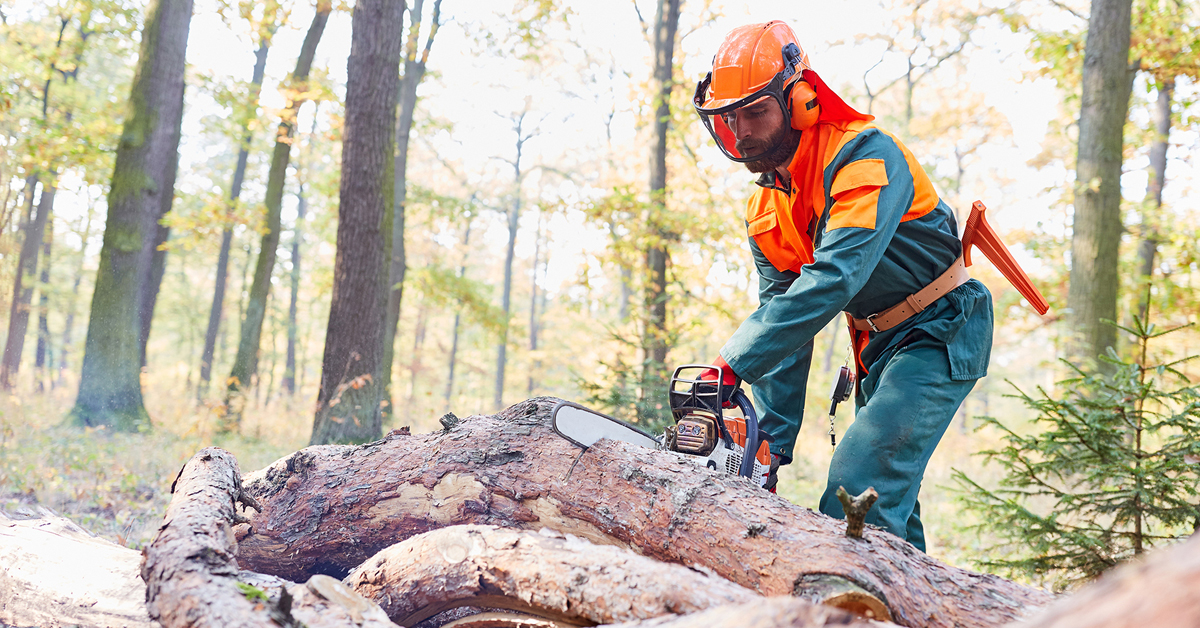 5 Types of Arborist Protective Clothing Even the Most Experienced