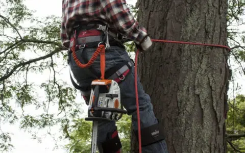 Arborist Safety