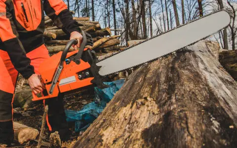 Handsaw vs. Chainsaw