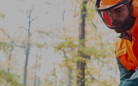 arborist protective gear